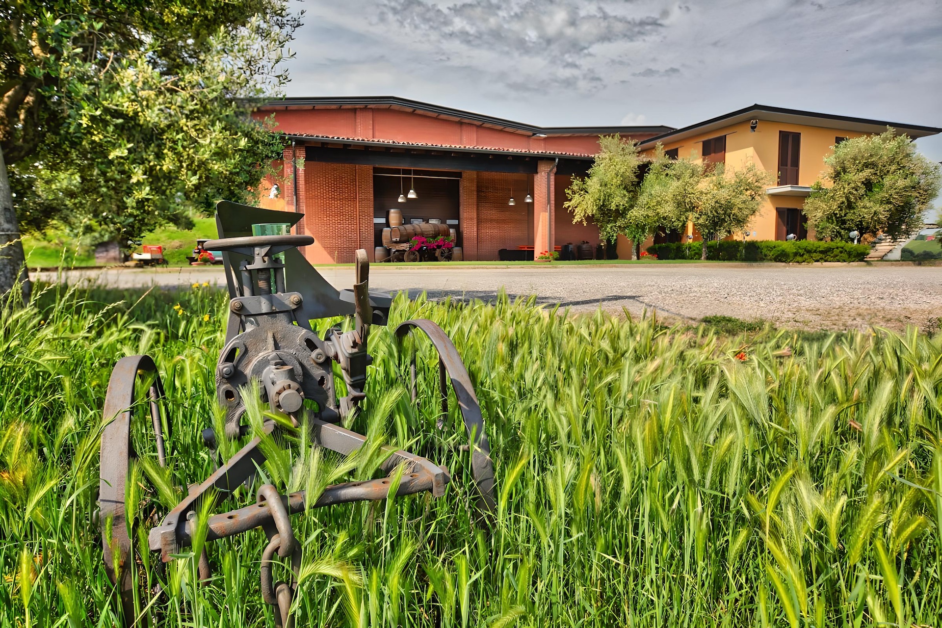 Cantina Bisi