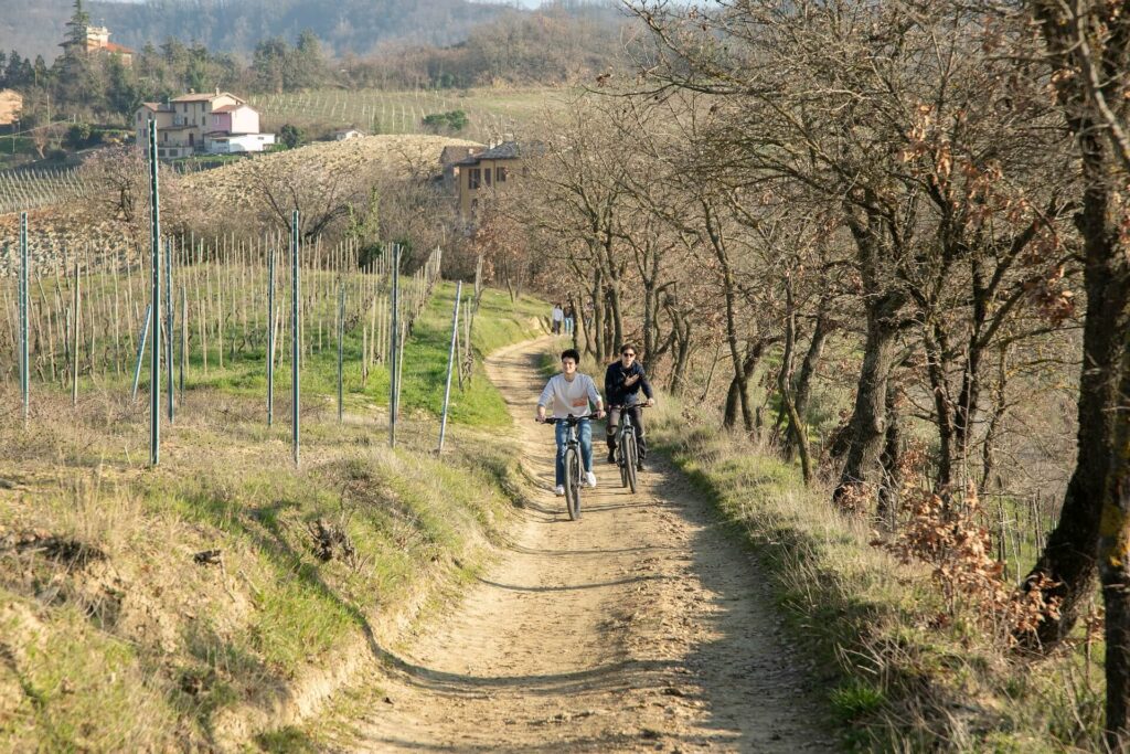 e-bike tra le vigne dell'Oltrepò Pavese