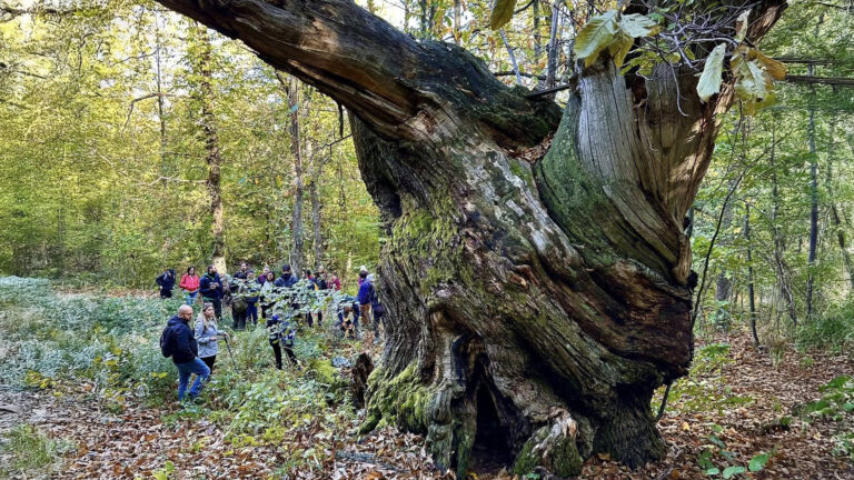 Al cospetto dei giganti