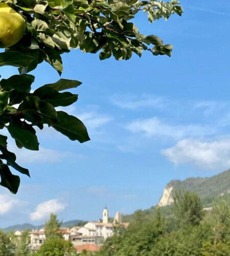 Giornata della Mela
