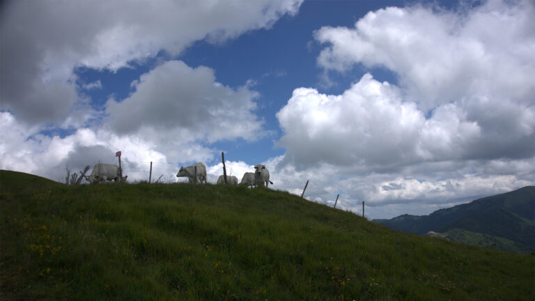 Acchiappando le nuvole del Monte Chiappo