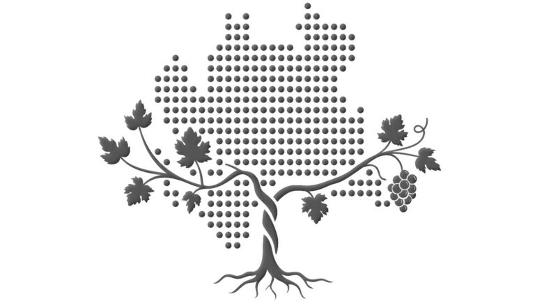 Senza 1 senso