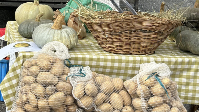 Sagra della patata di Brallo di Pregola