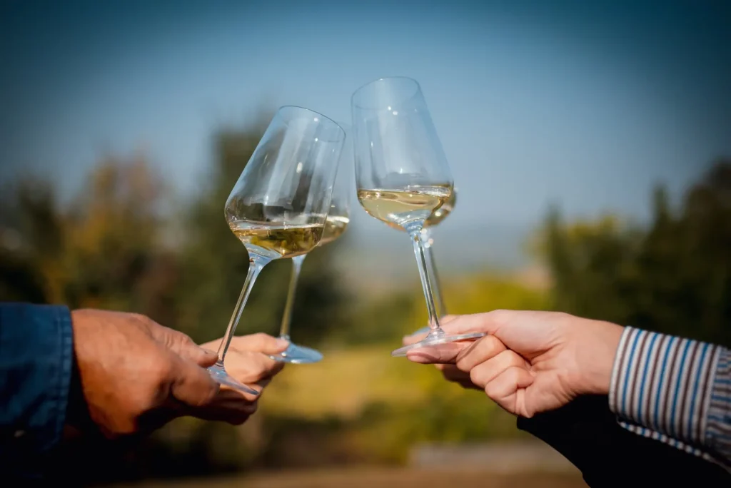 Calici di Vino