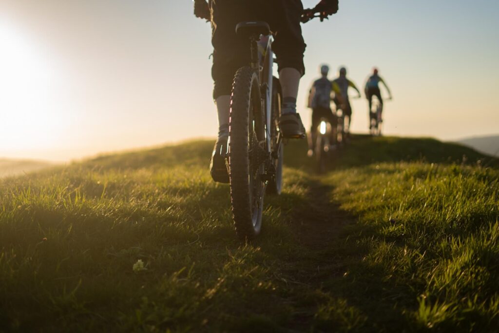 Biciclette al tramonto